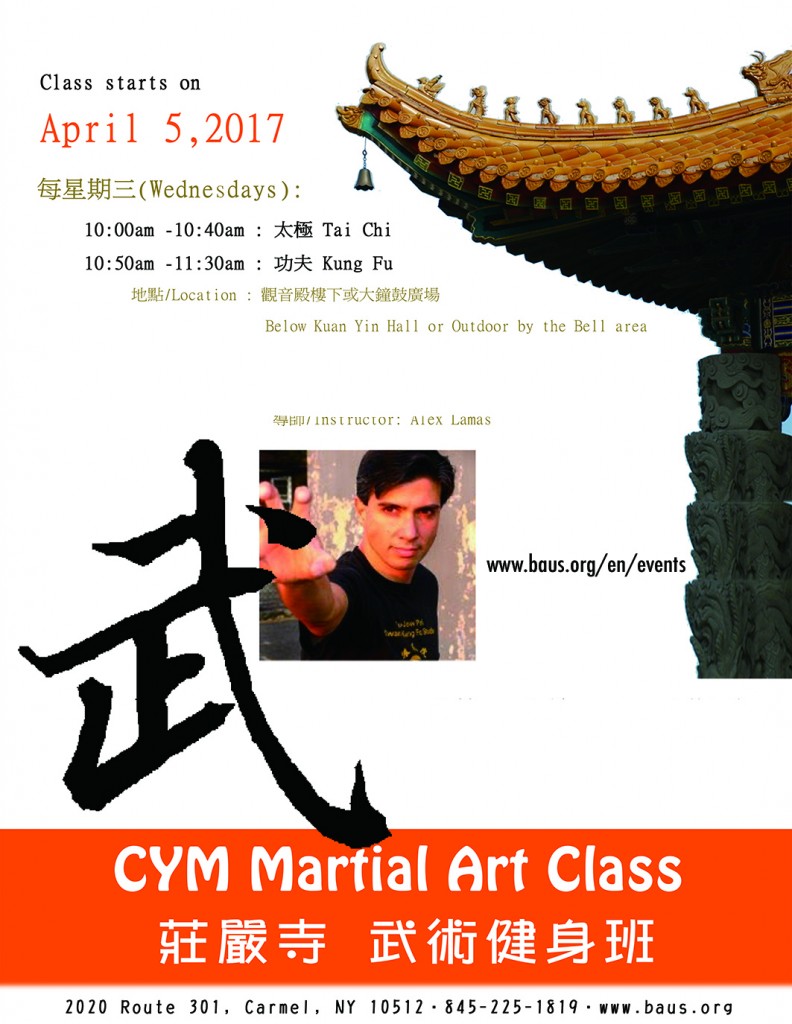 V Martial Art Class copy